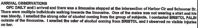 Illustration for article titled Juicy Scenes From the Police Report on the Palin Family Throwdown